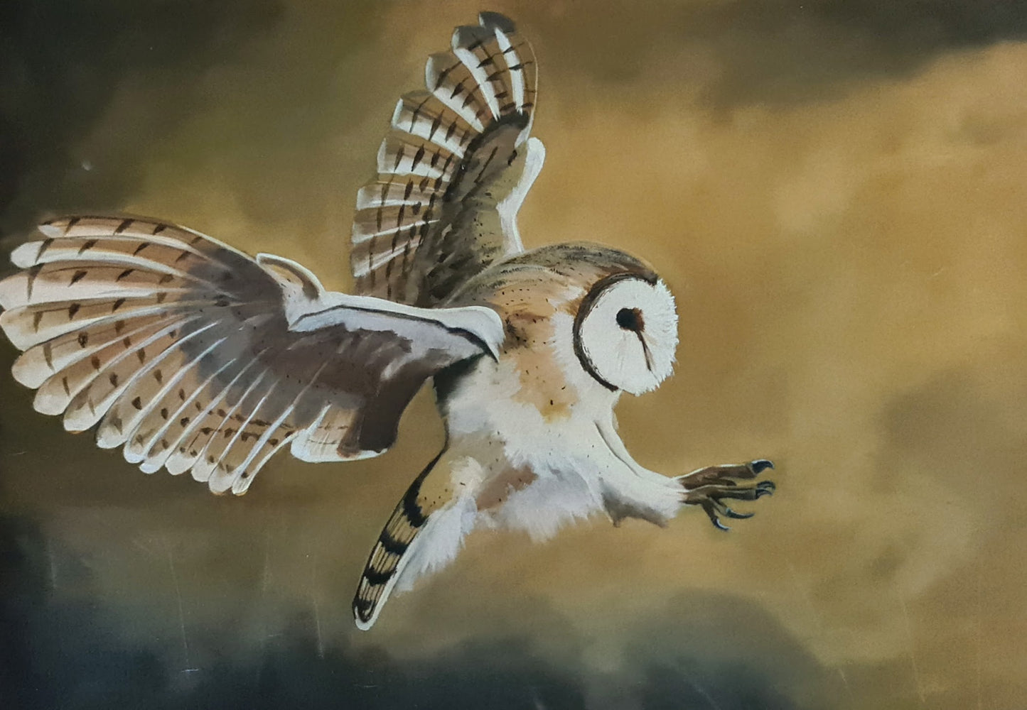Owl on the Prowl