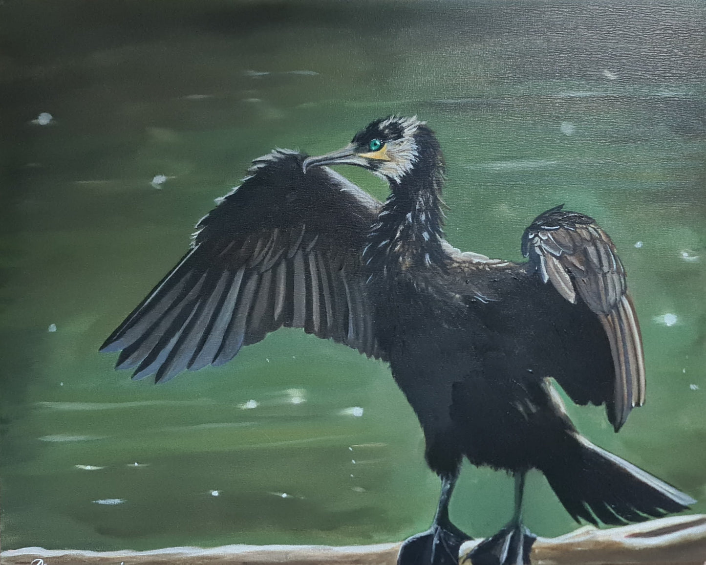 The Drying Cormorant
