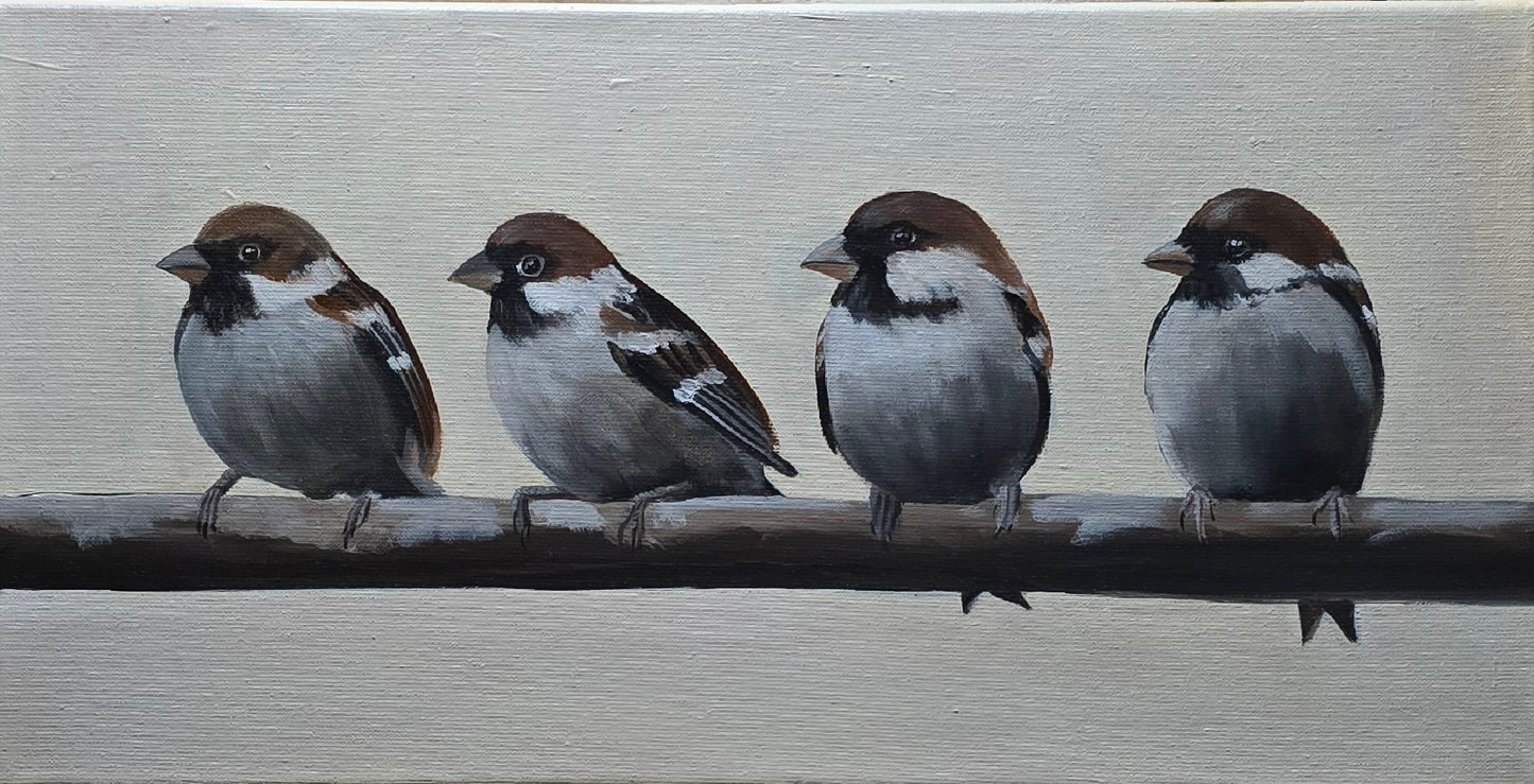 Sparrows