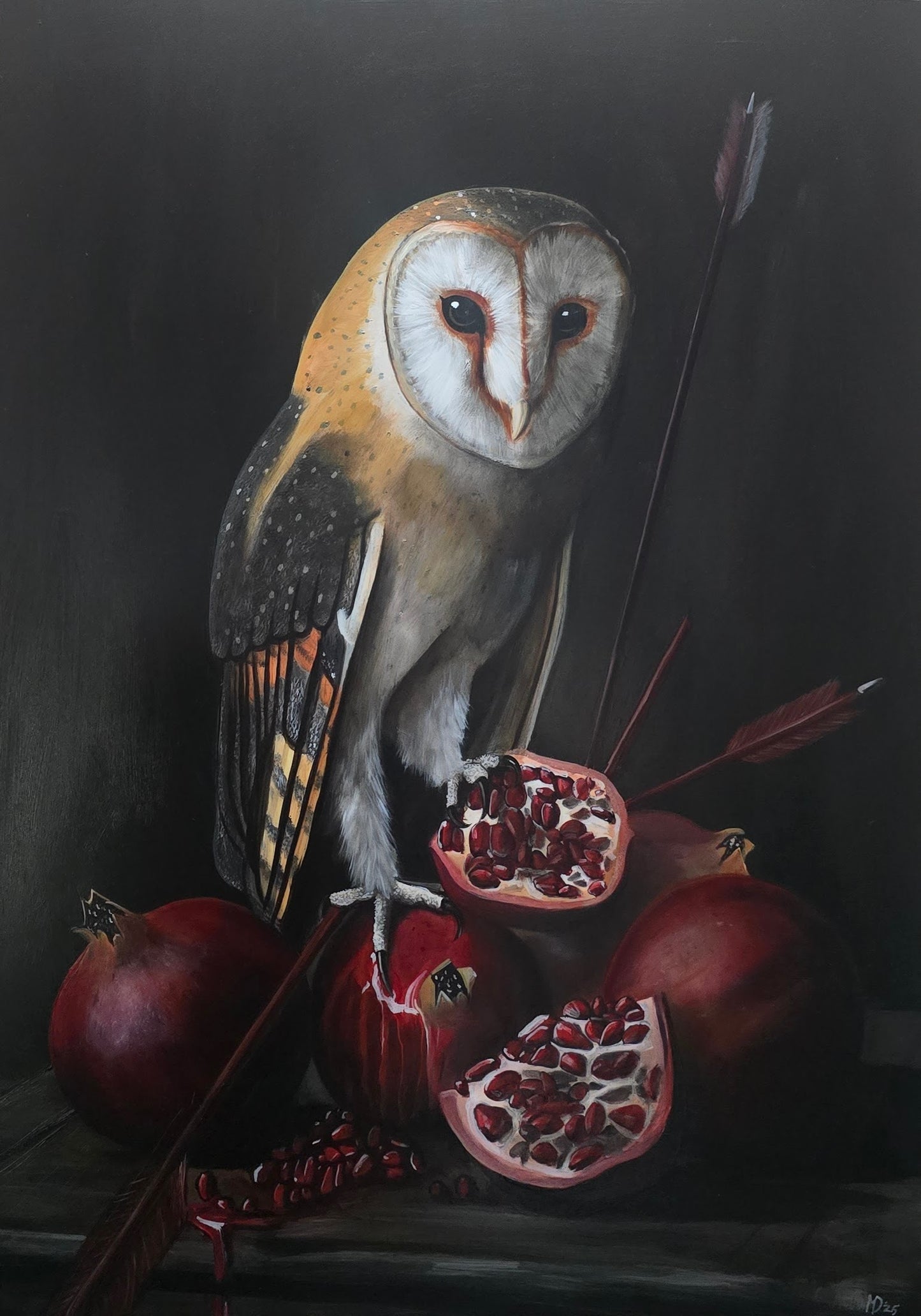 Owl and Pomgrenades