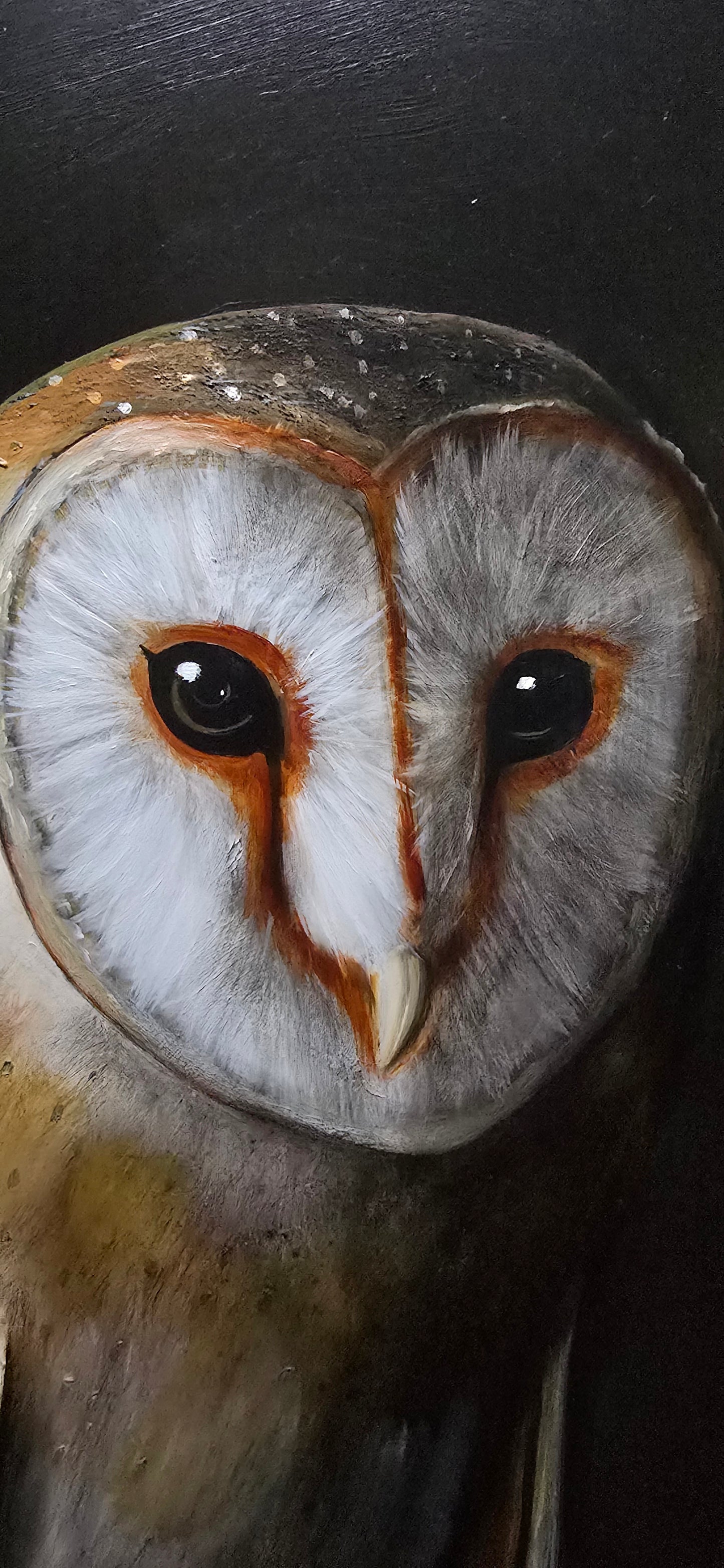 Owl and Pomgrenades