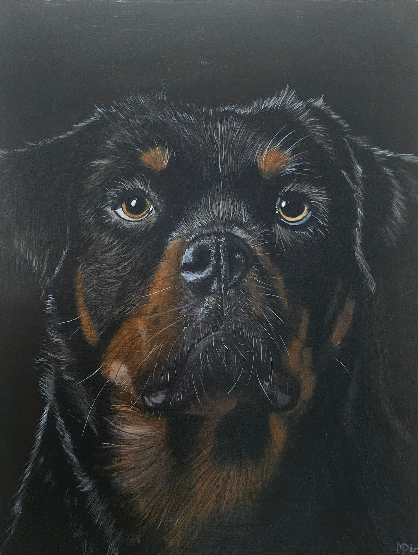 Porthos