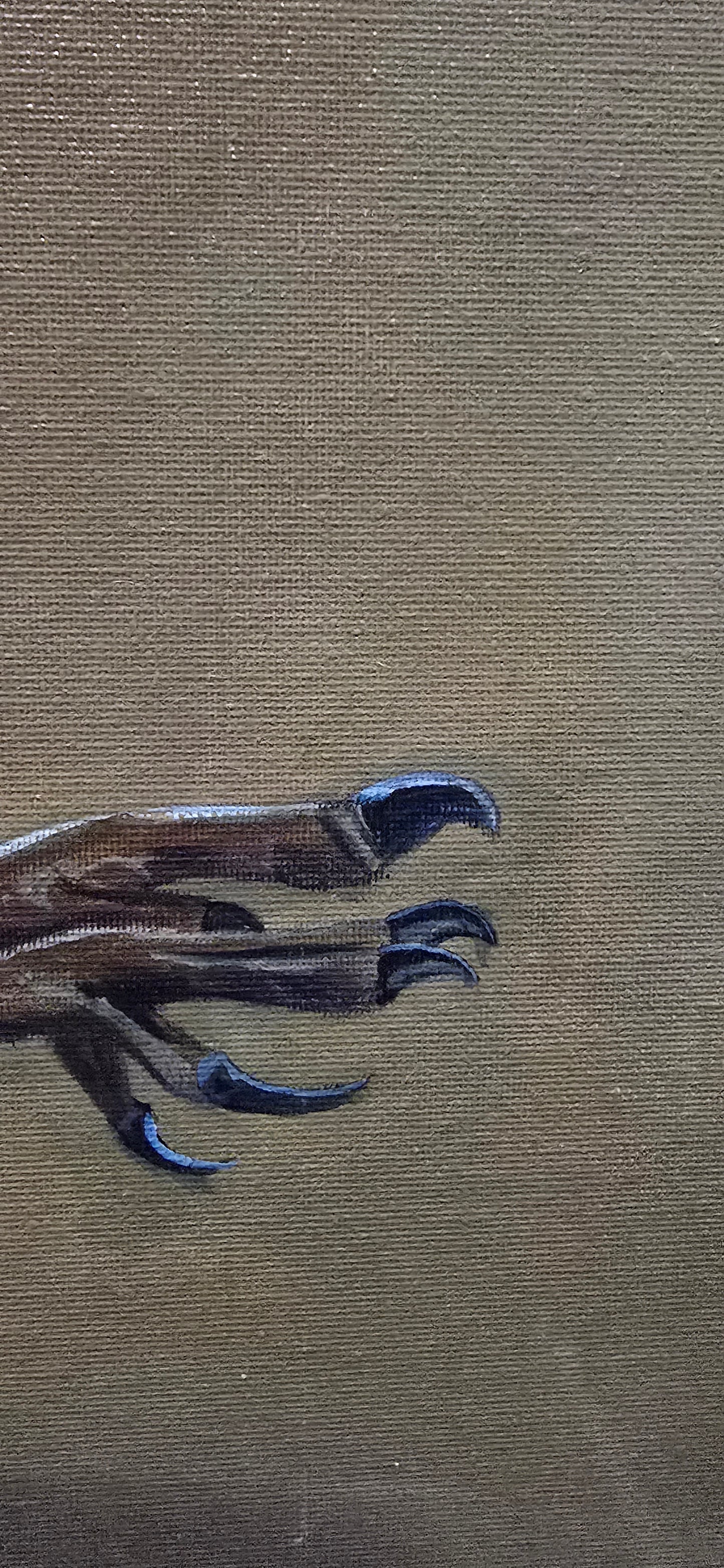 Owl on the Prowl