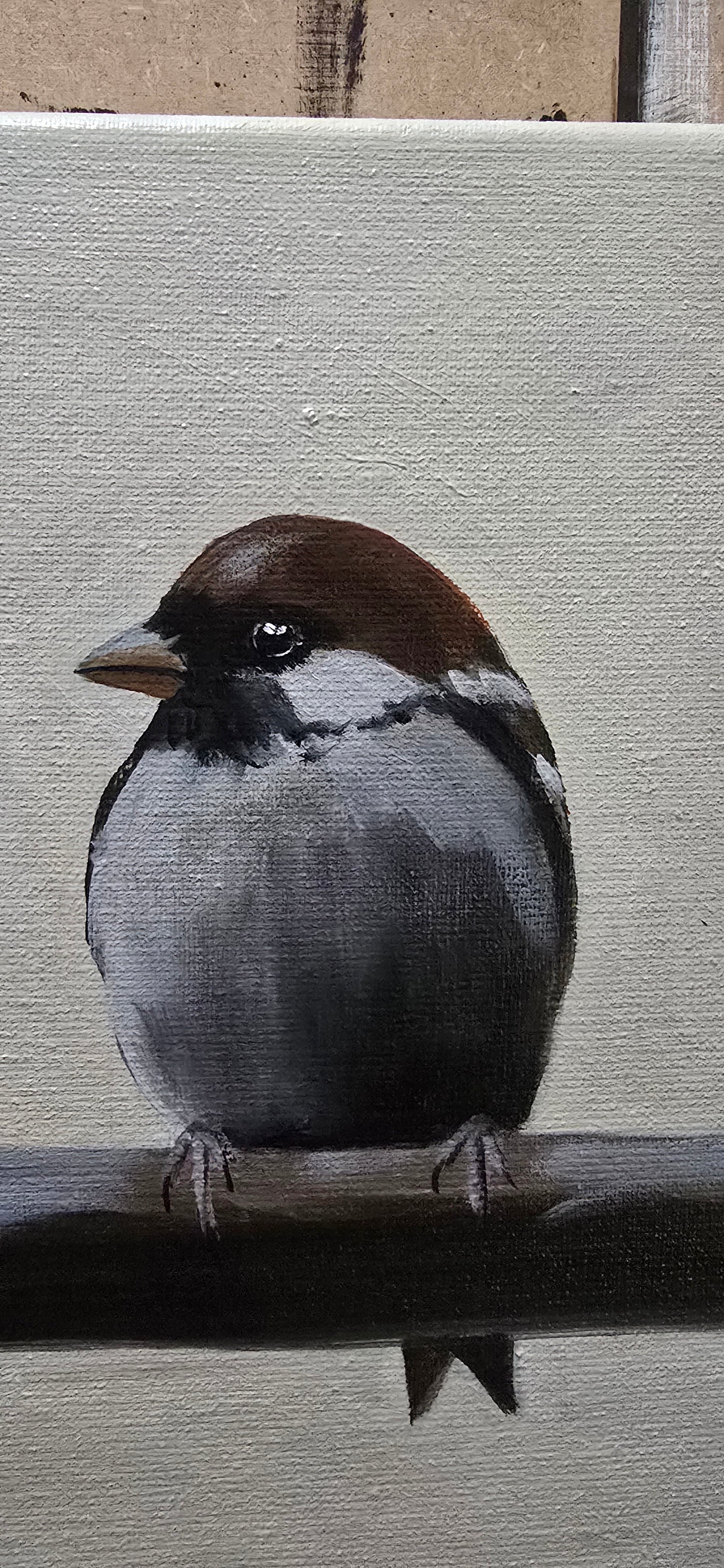 Sparrows