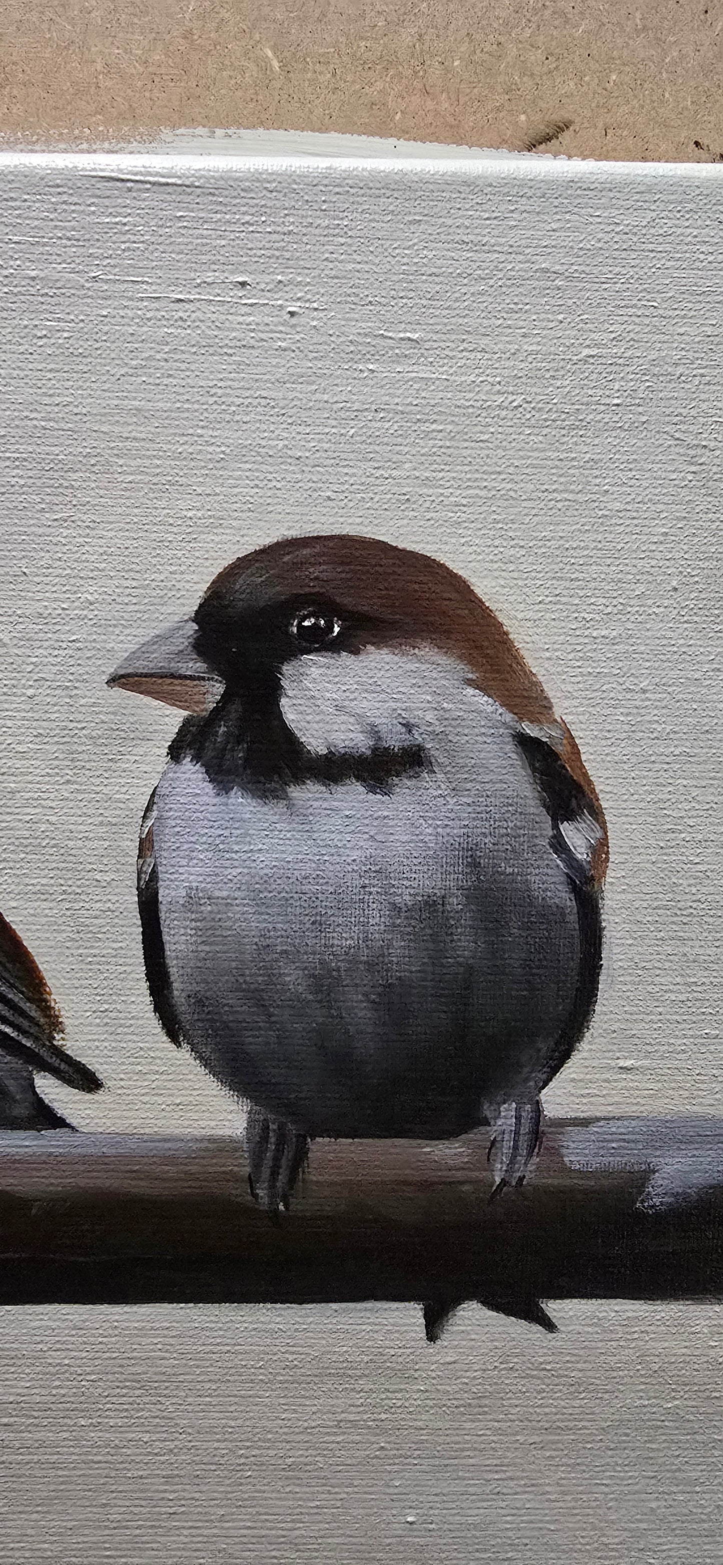 Sparrows