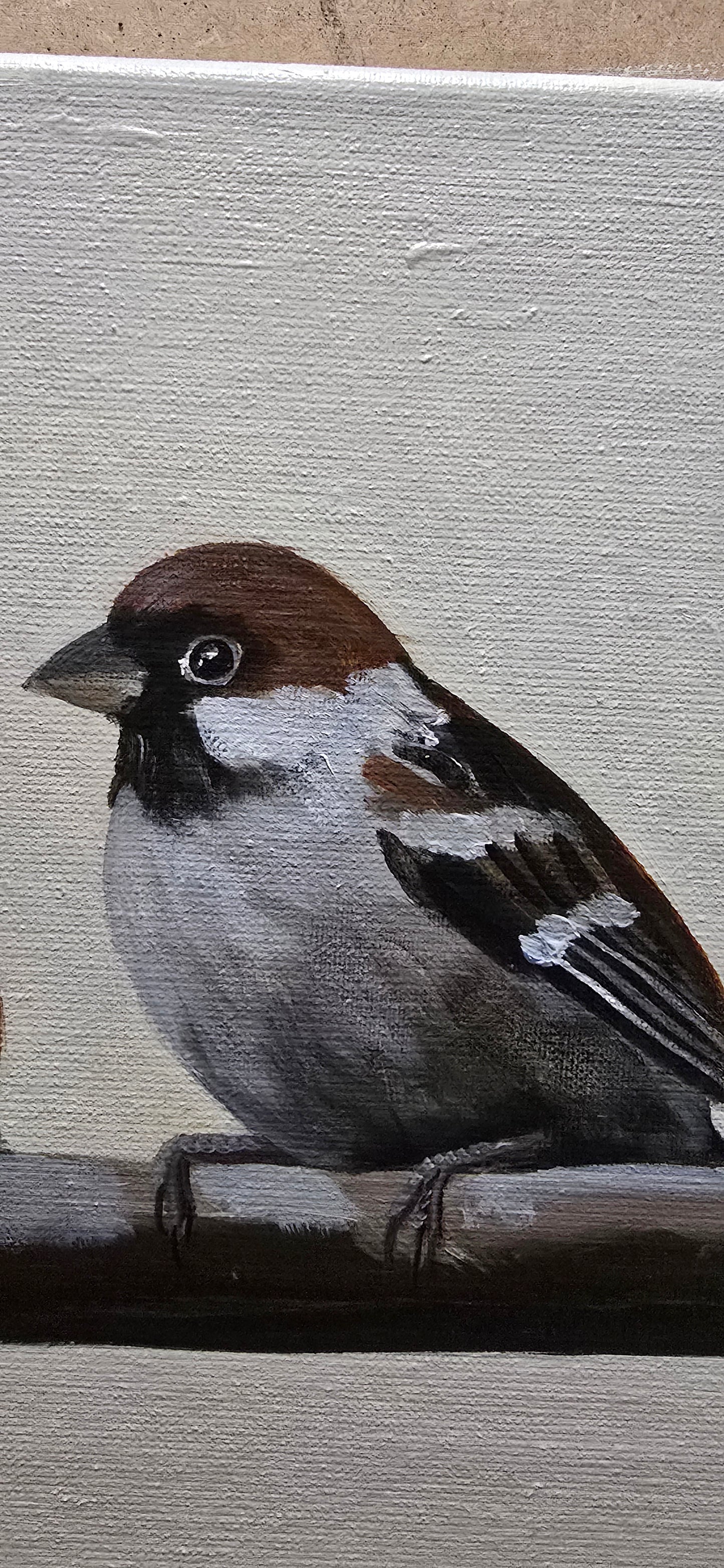 Sparrows