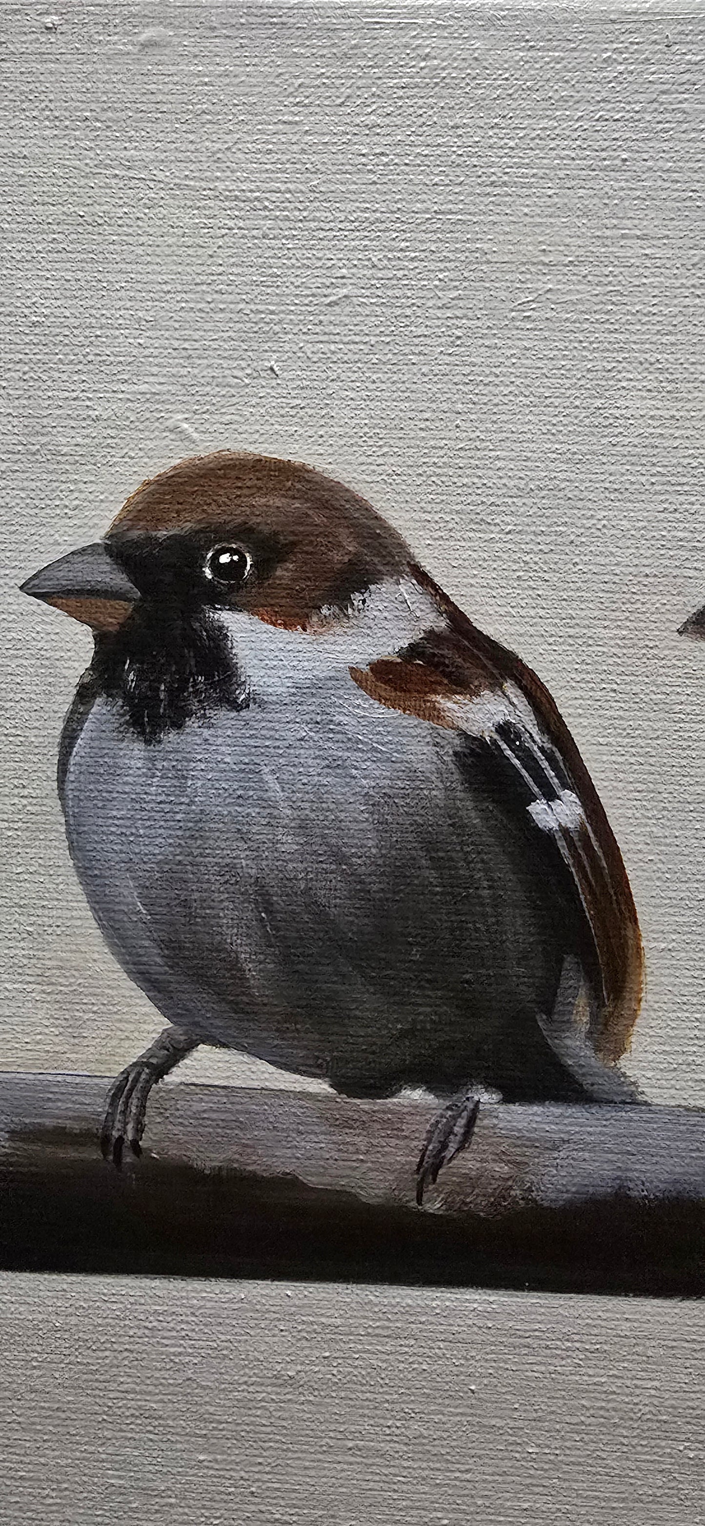 Sparrows