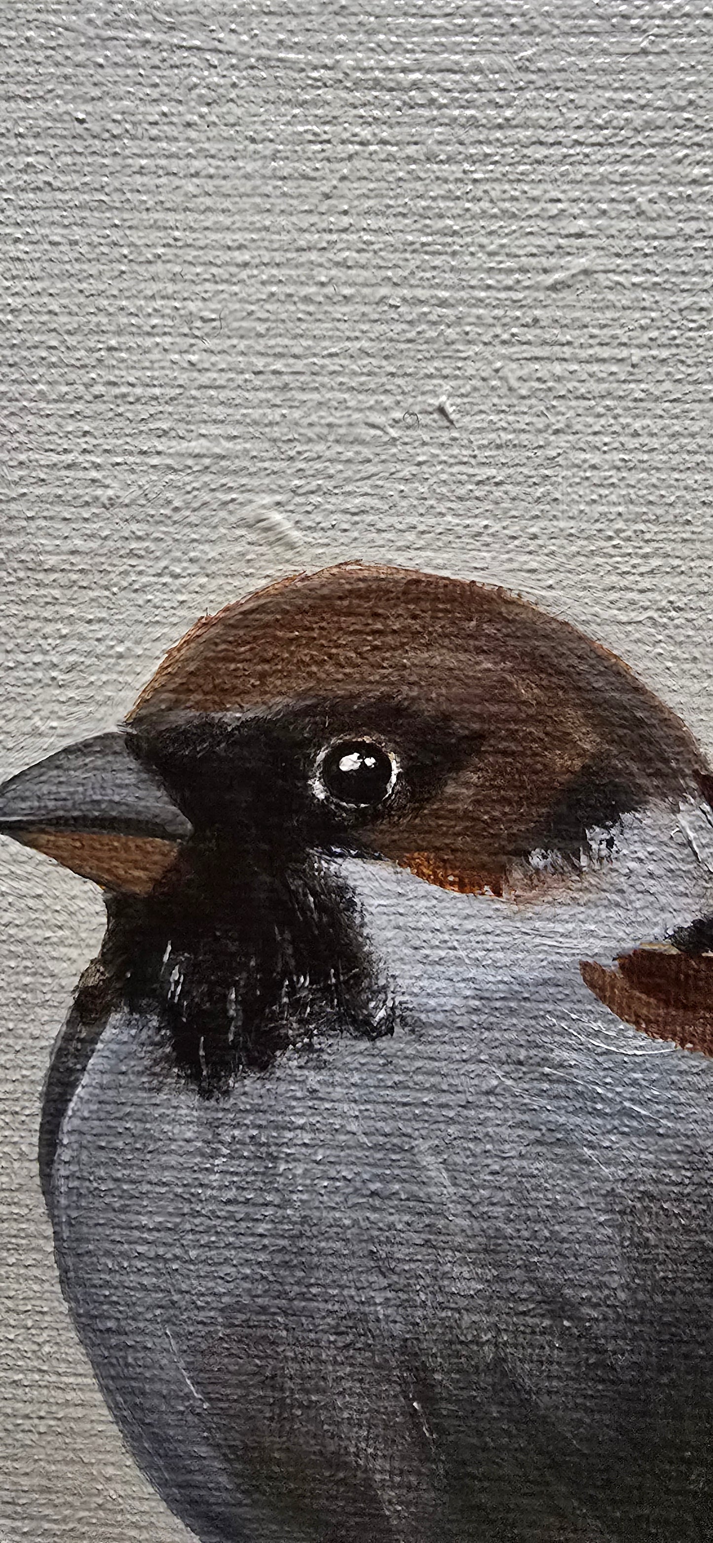 Sparrows