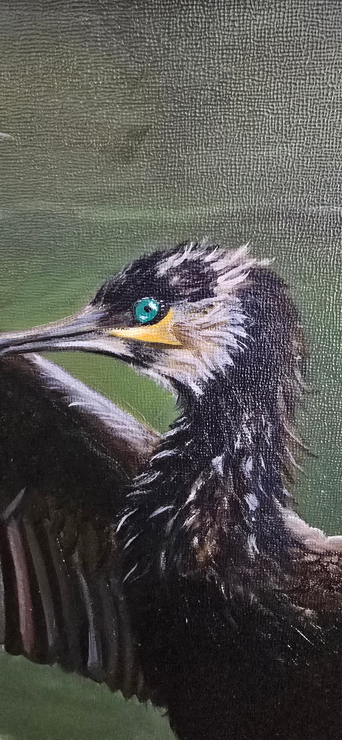 The Drying Cormorant