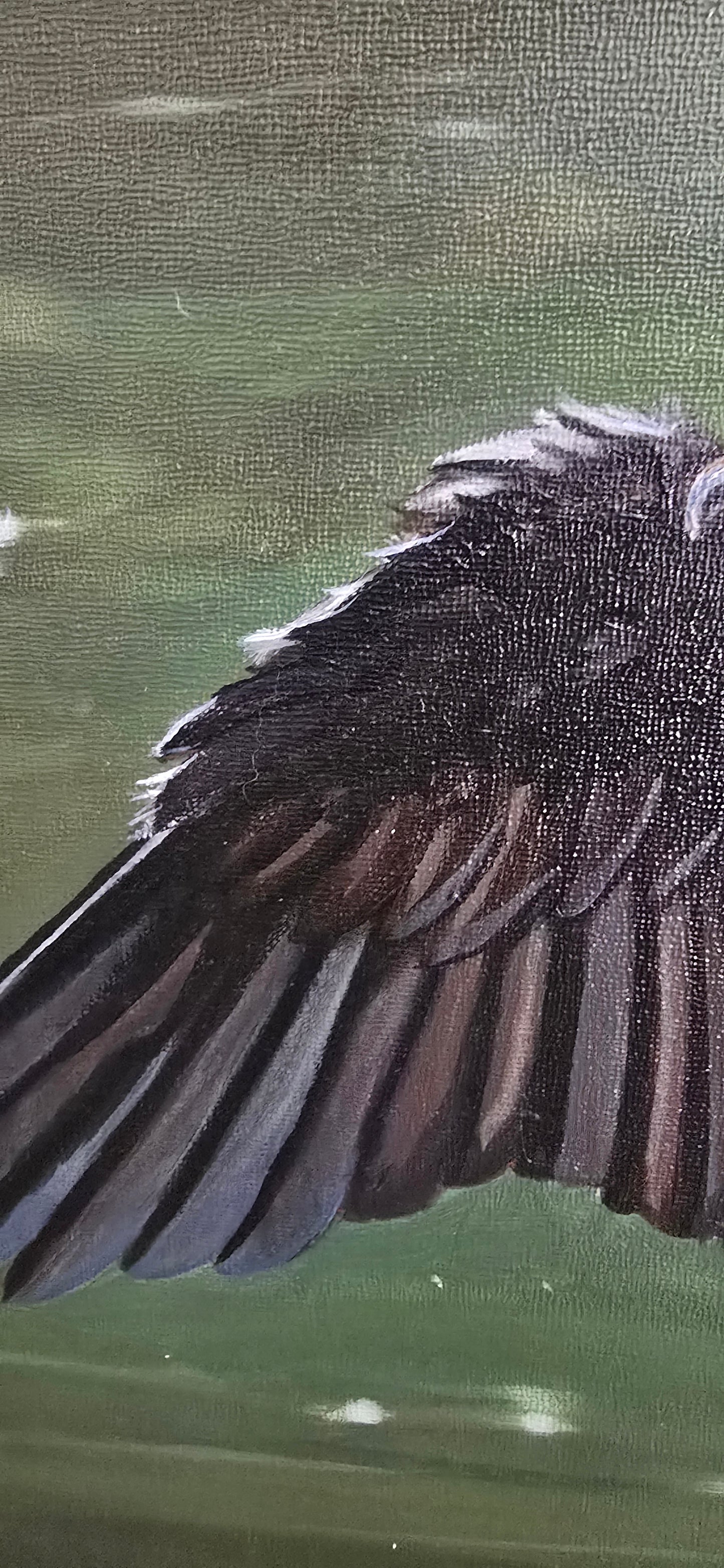 The Drying Cormorant