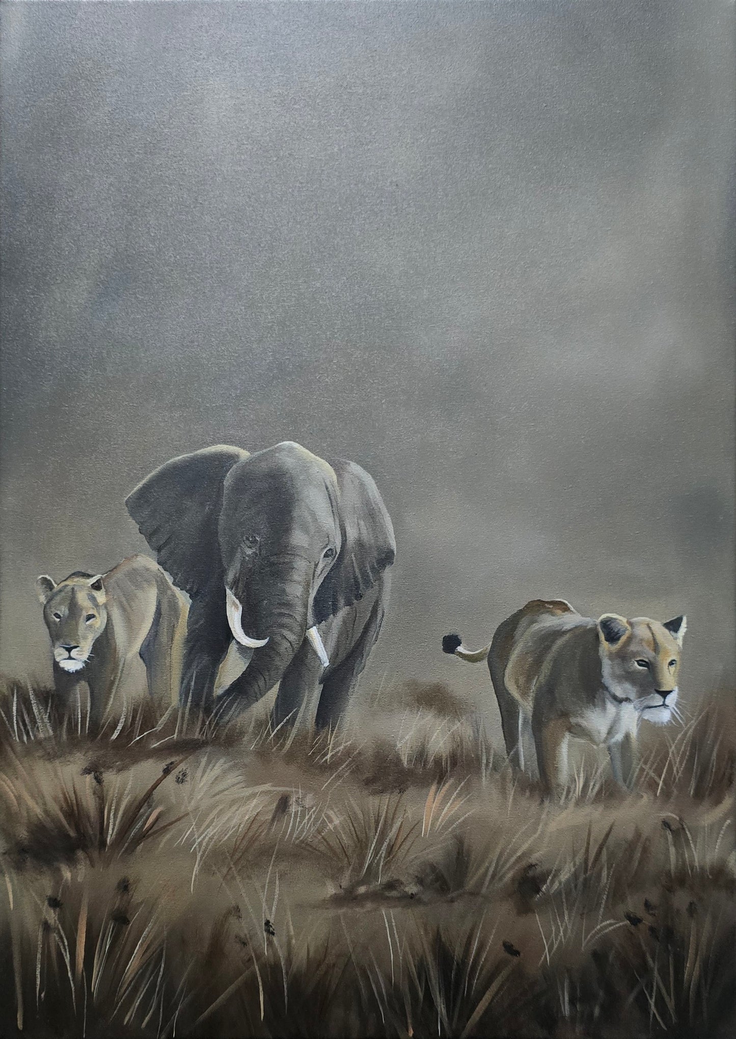 Companions of the Wild