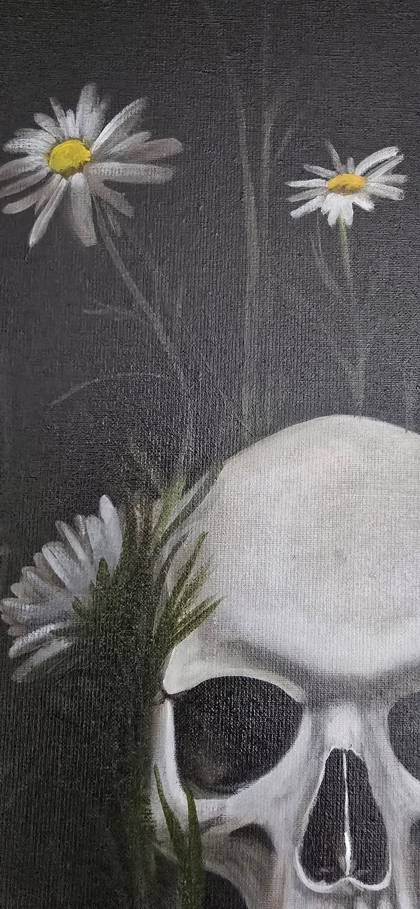 Skull and Daisies