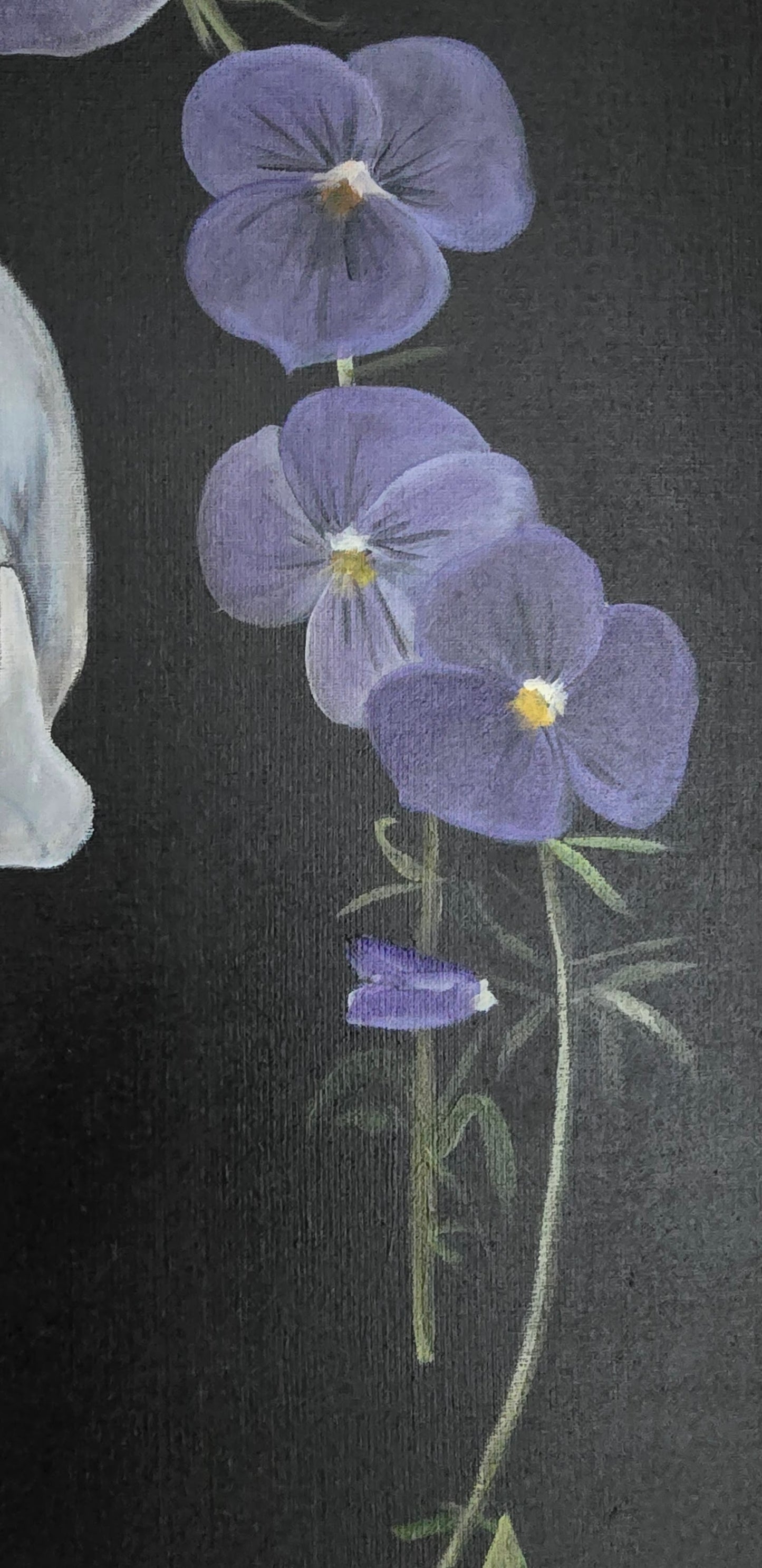 Skull and Violets