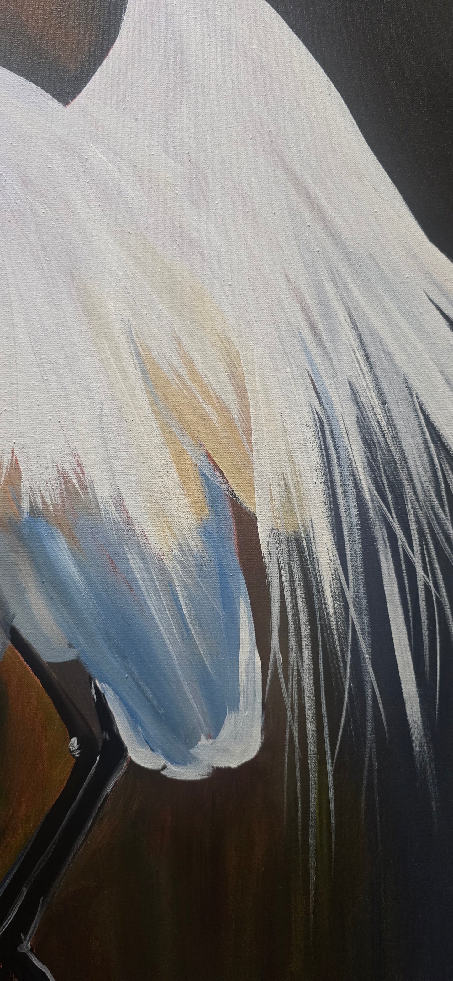 Heron