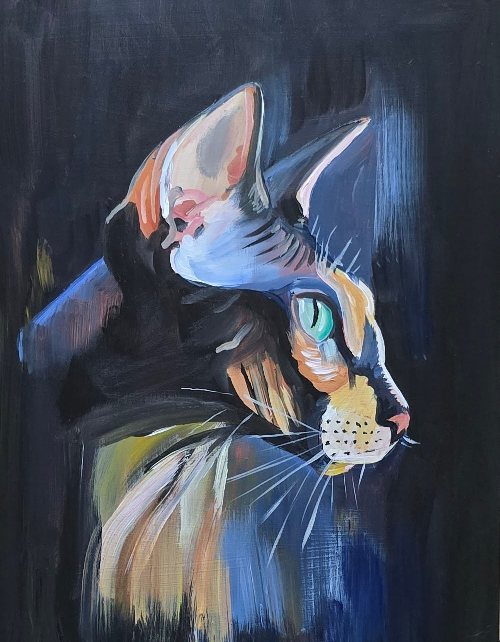 Sphynx 2