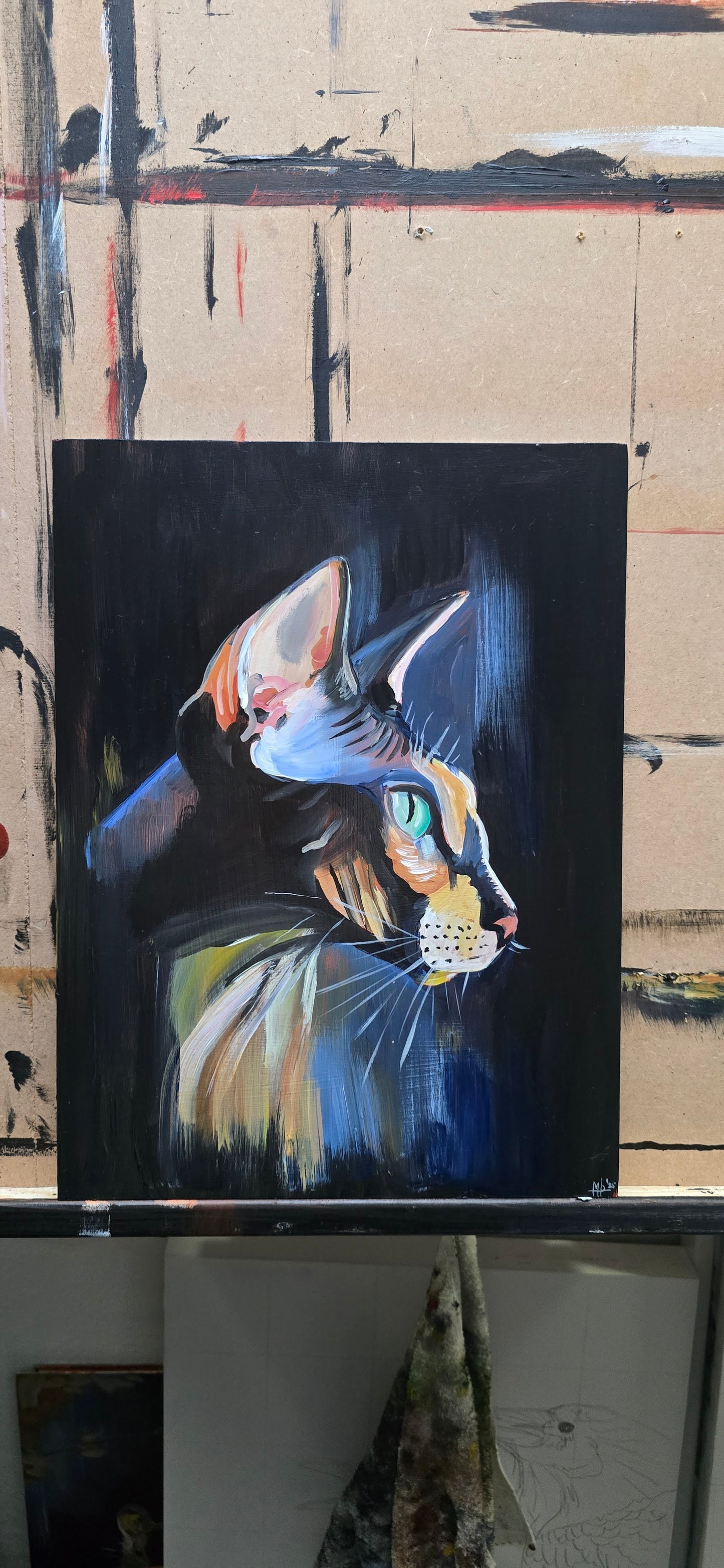 Sphynx 2