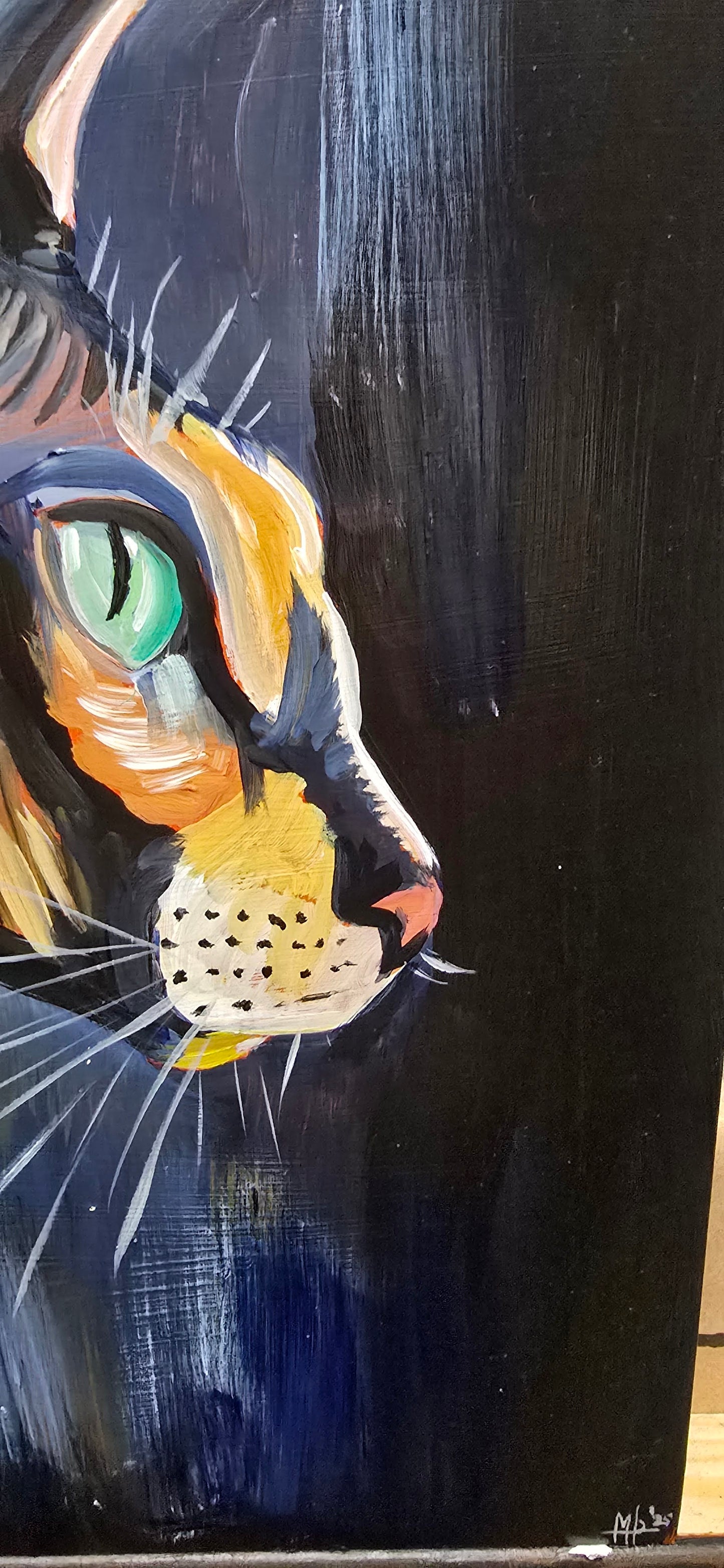 Sphynx 2