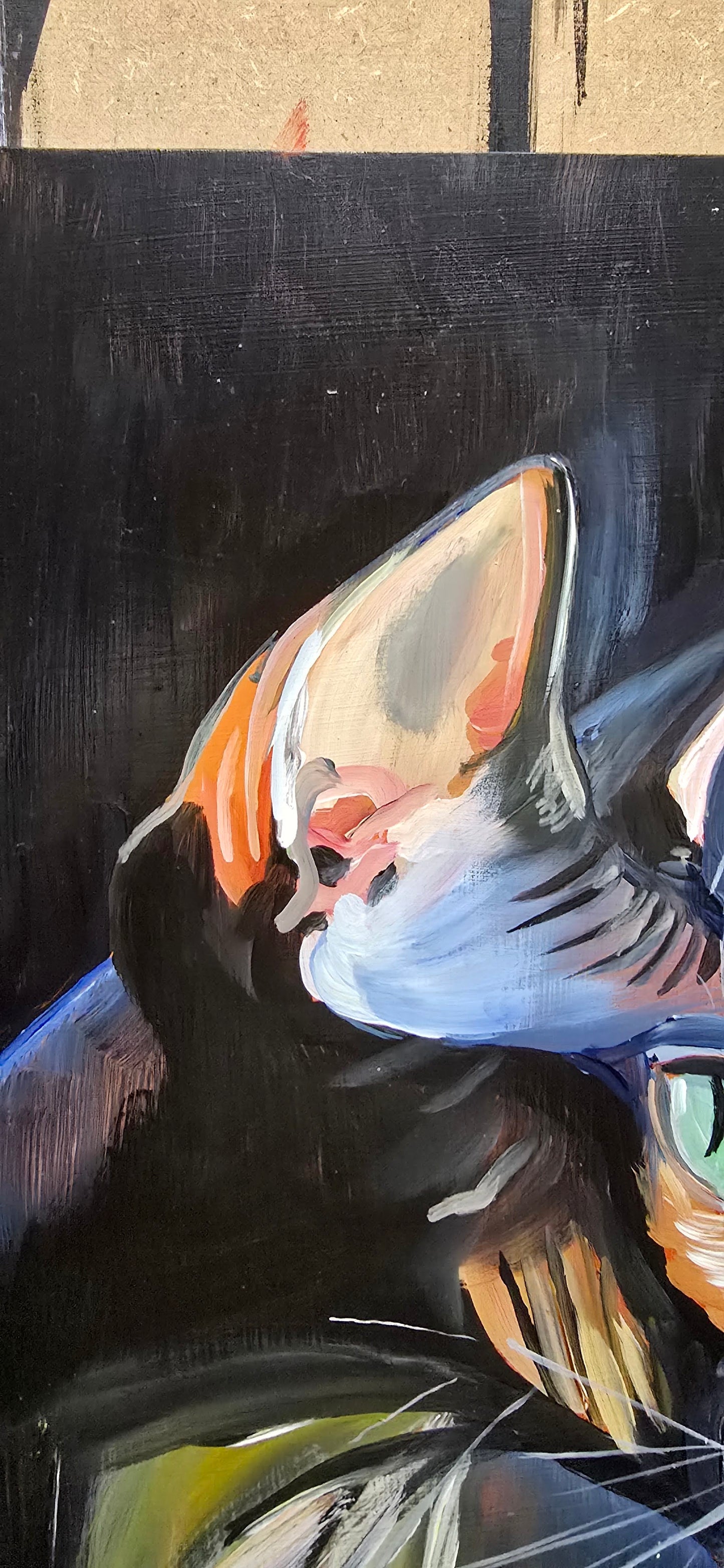 Sphynx 2