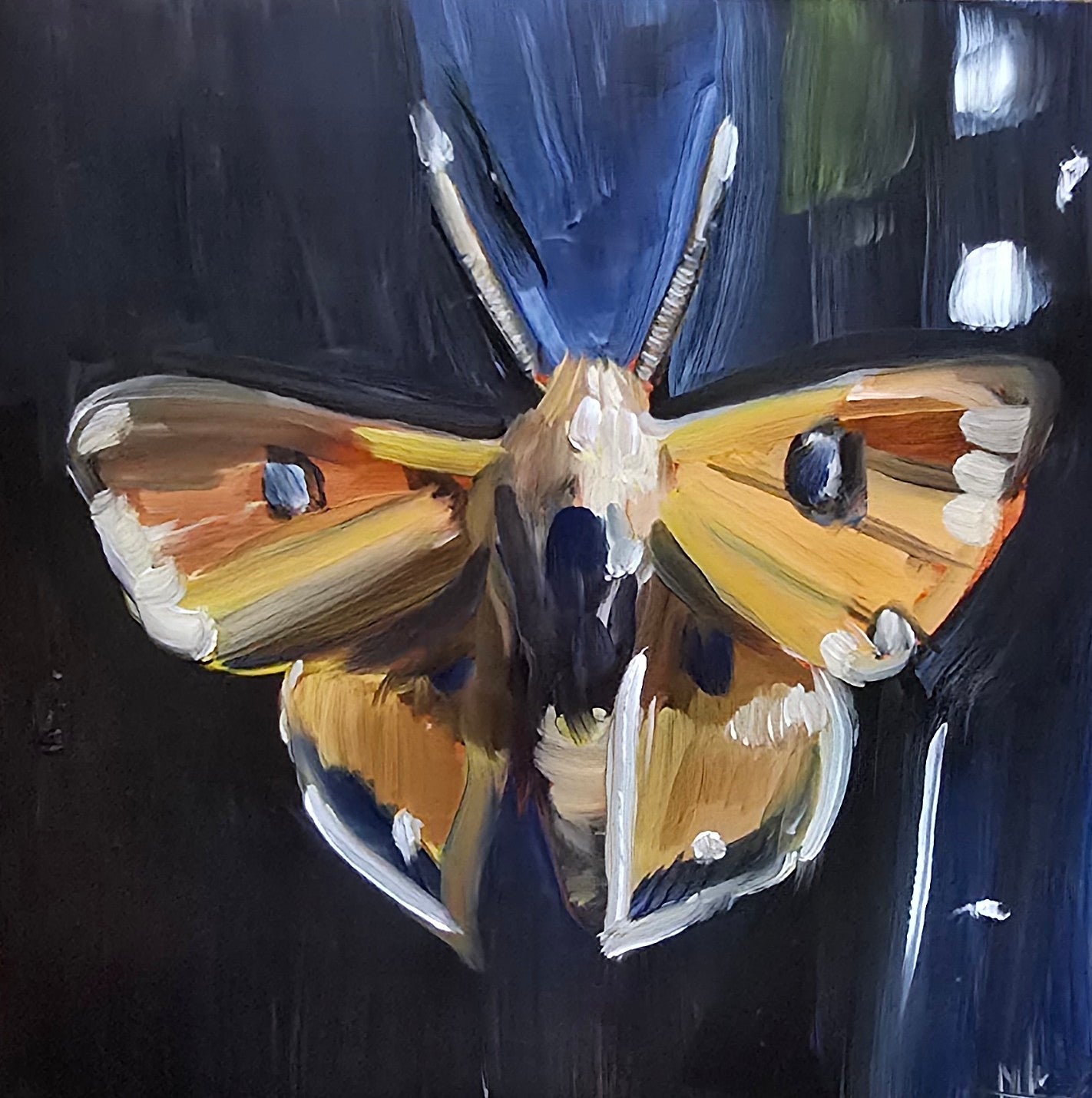 Moth