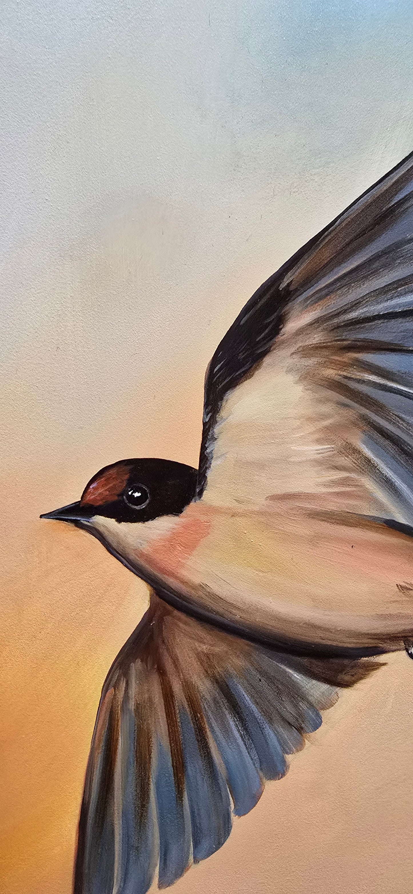 Swallows in Flight