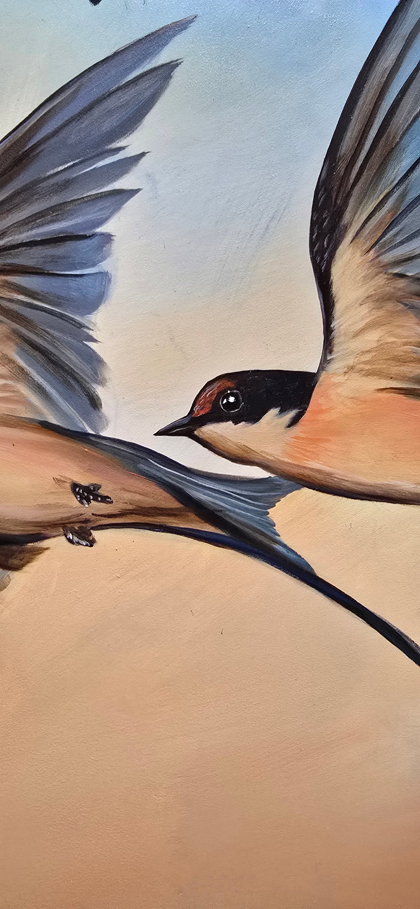 Swallows in Flight