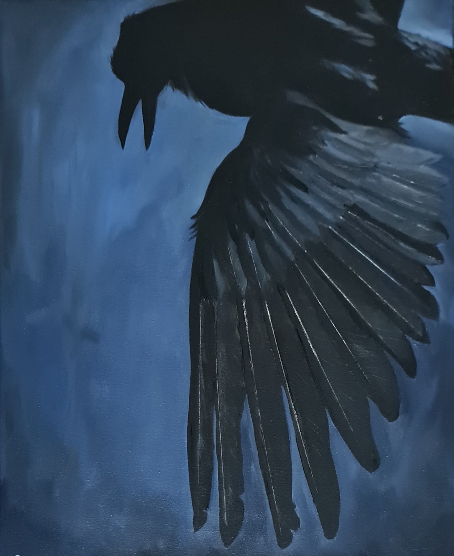 Flight of the Raven