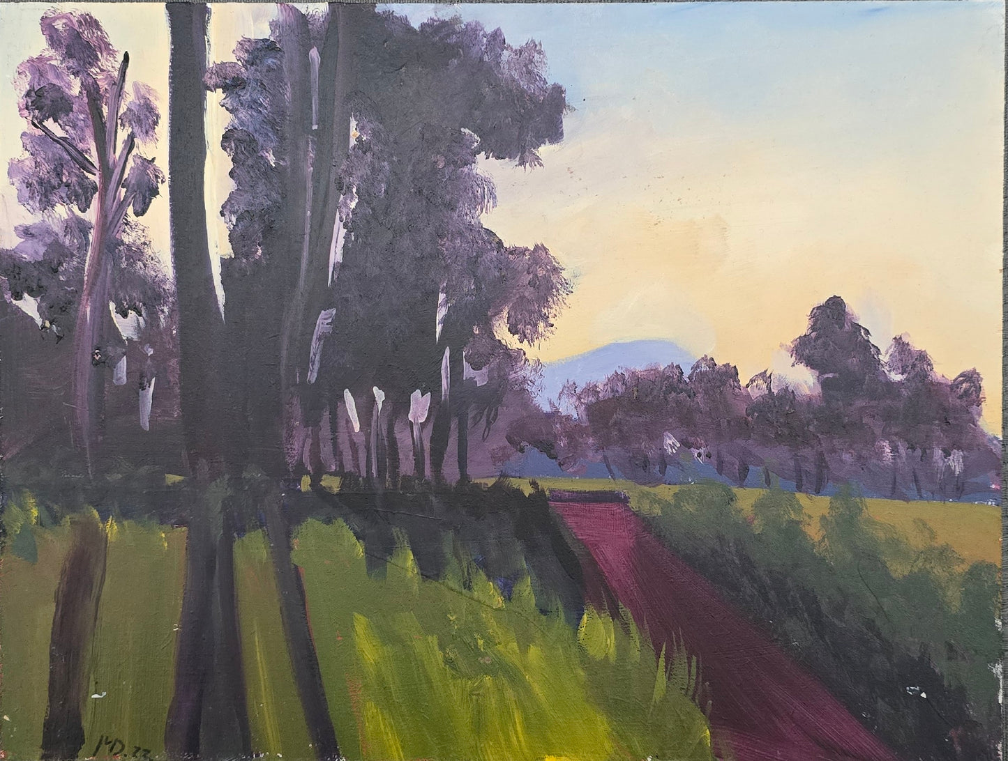 Evening Walk
