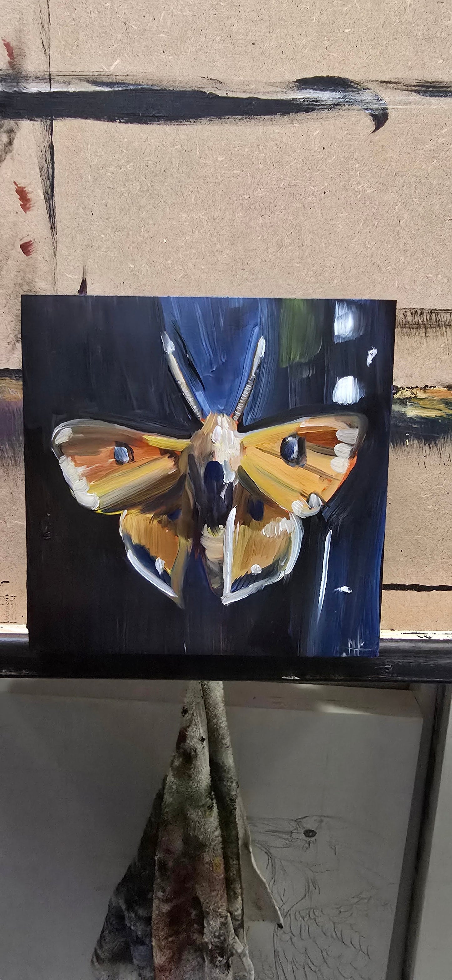 Moth