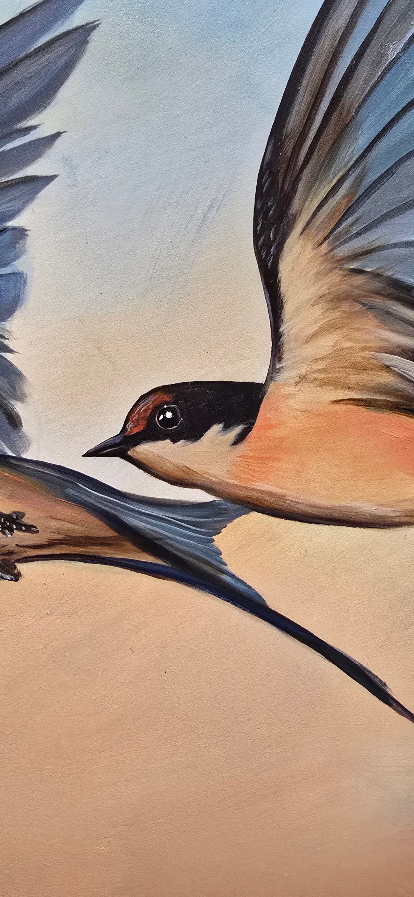 Swallows in Flight