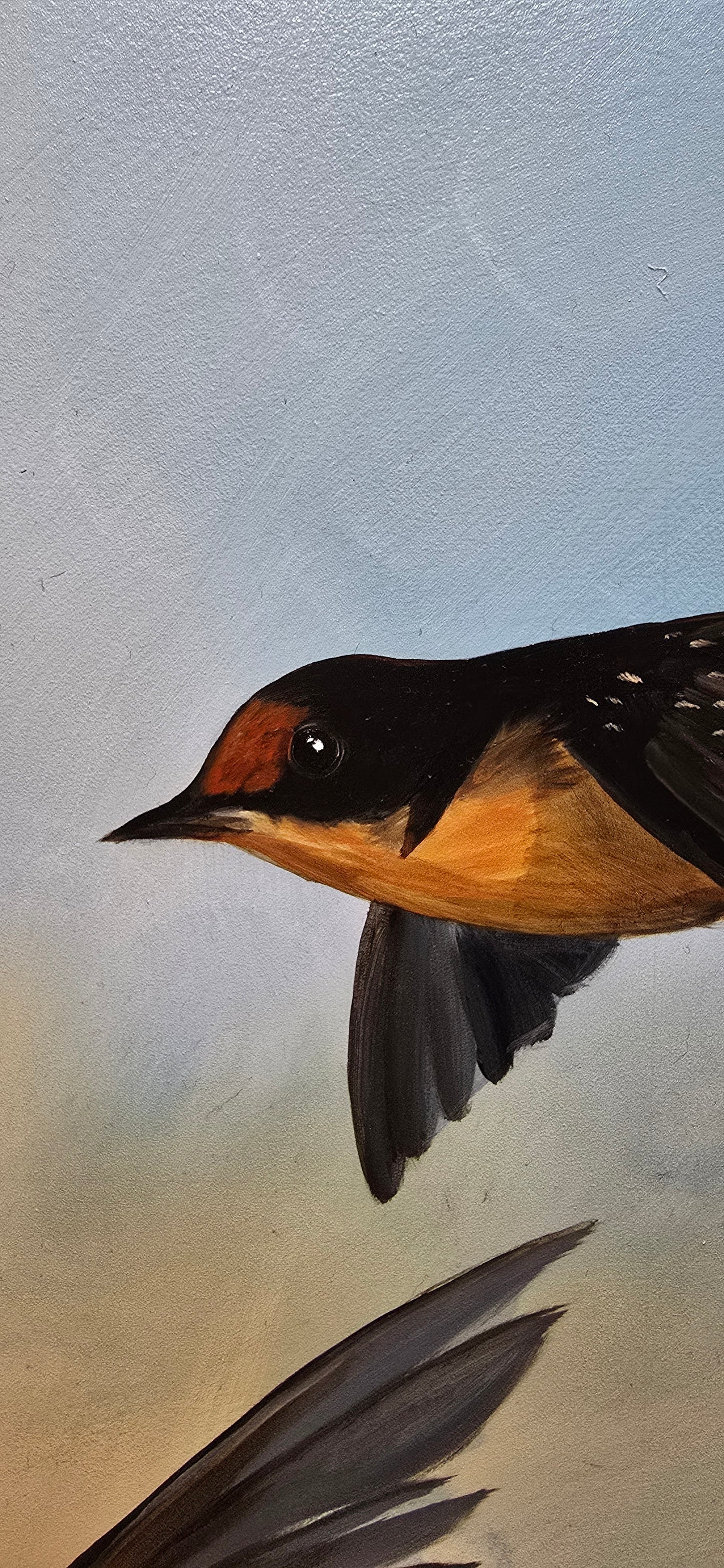 Swallows in Flight
