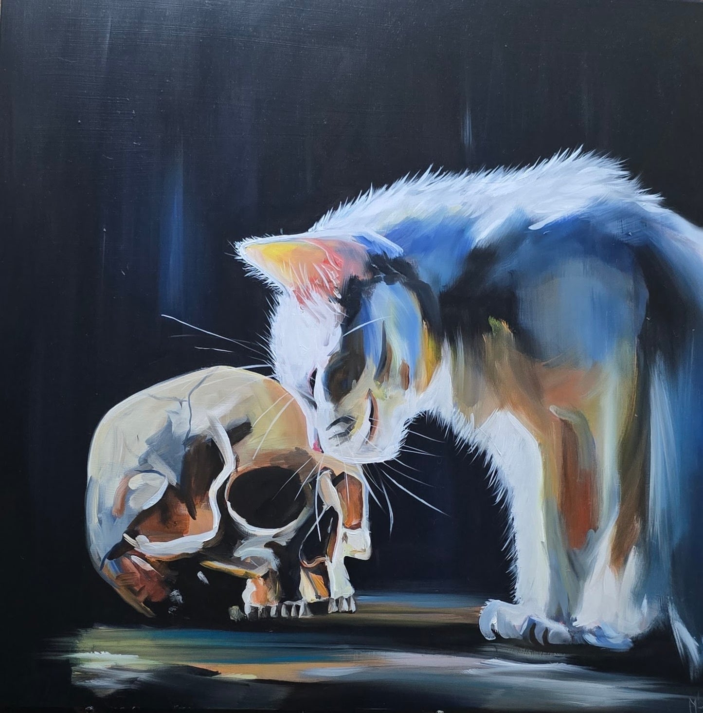 The Cat and the Skull