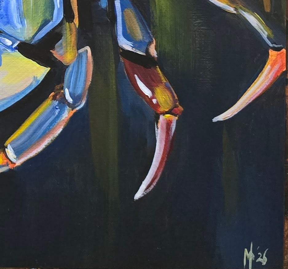 Mr Crabs