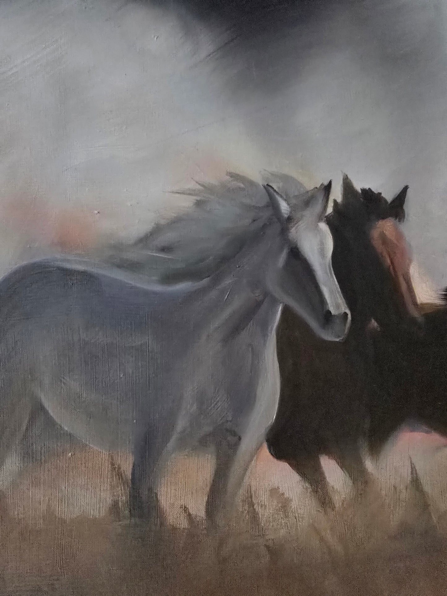 Wild Mustangs