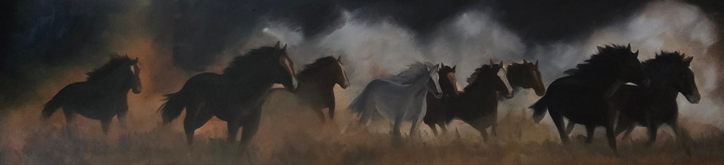 Wild Mustangs