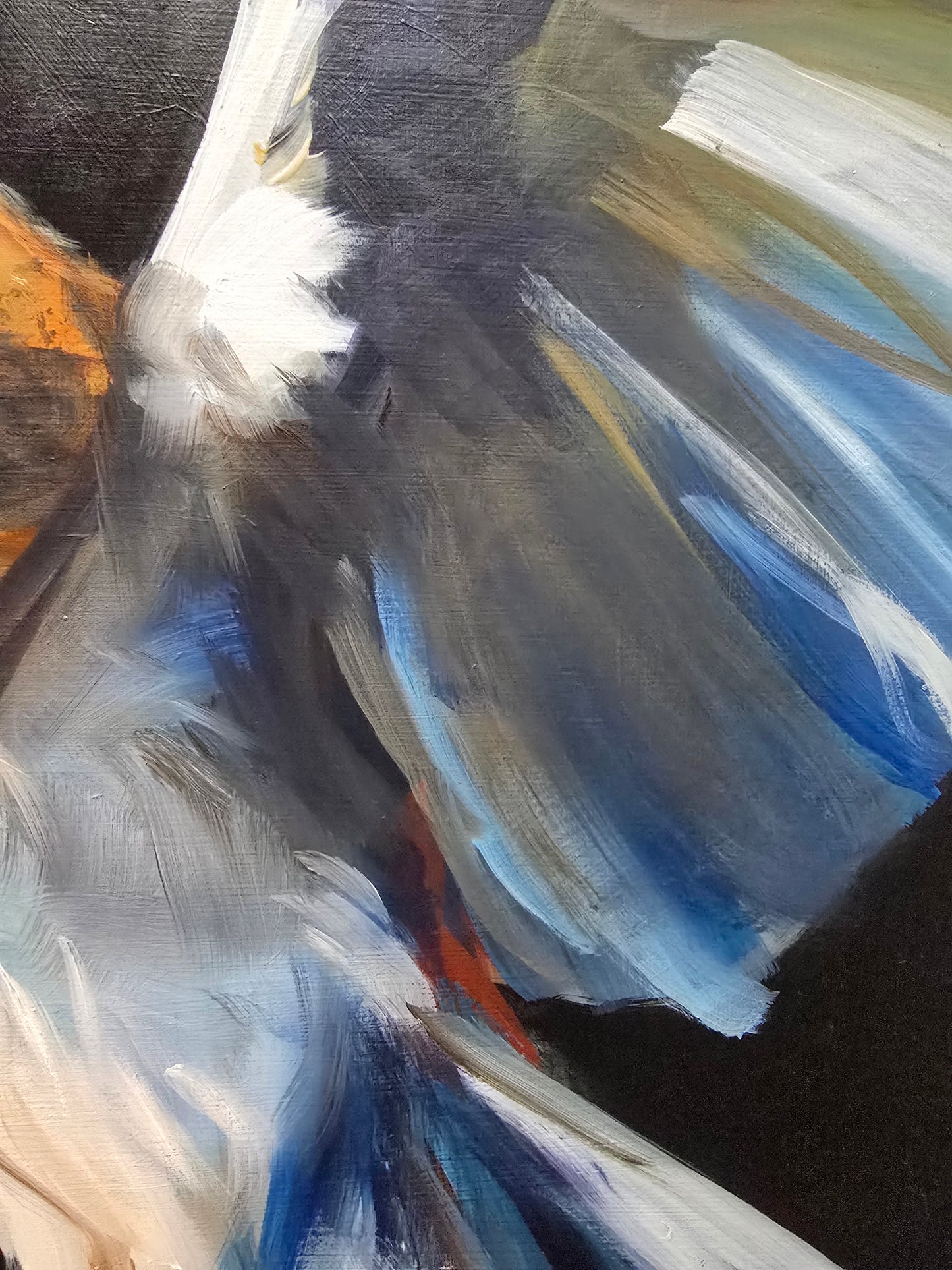 Silent Wings