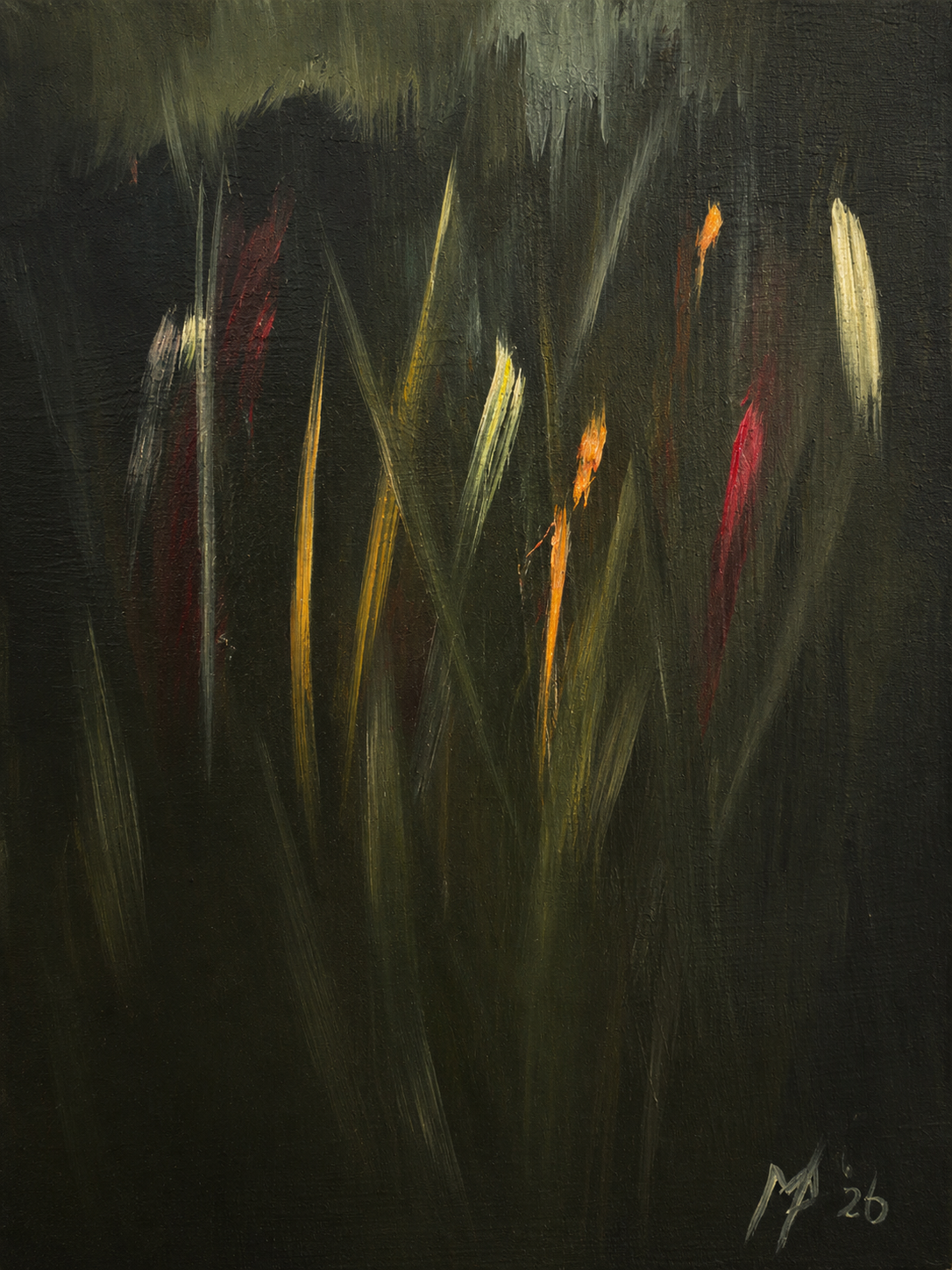 Where Light Finds Home